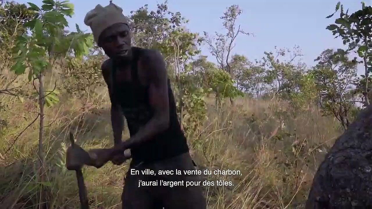 Makala - Bande annonce