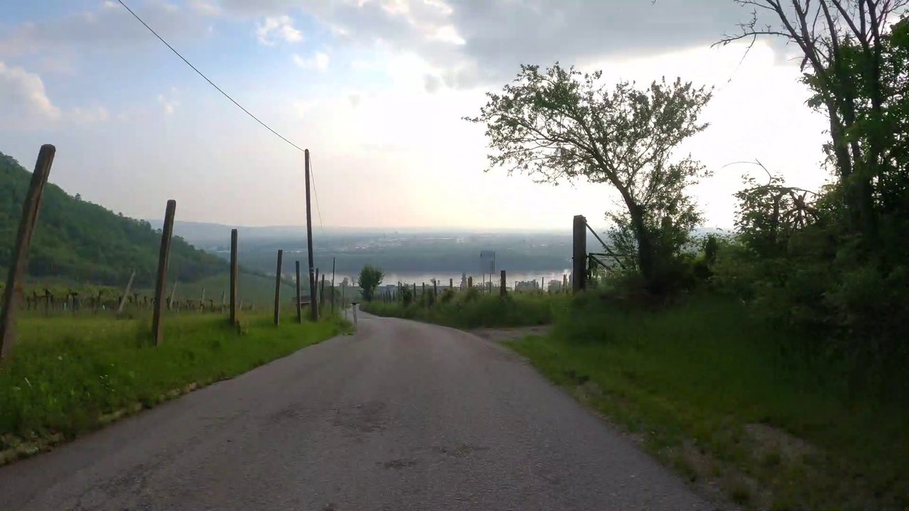 Wien am Rad: Die Eiserne Hand downhill