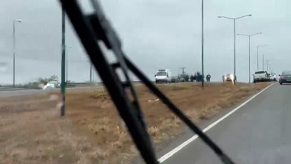 Vuelco en la Circunvalación Oeste