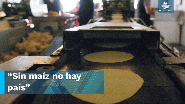 AMLO llama a empresarios del maíz a mantener precios justos