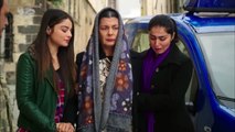 مسلسل ورد وشوك الحلقة 186