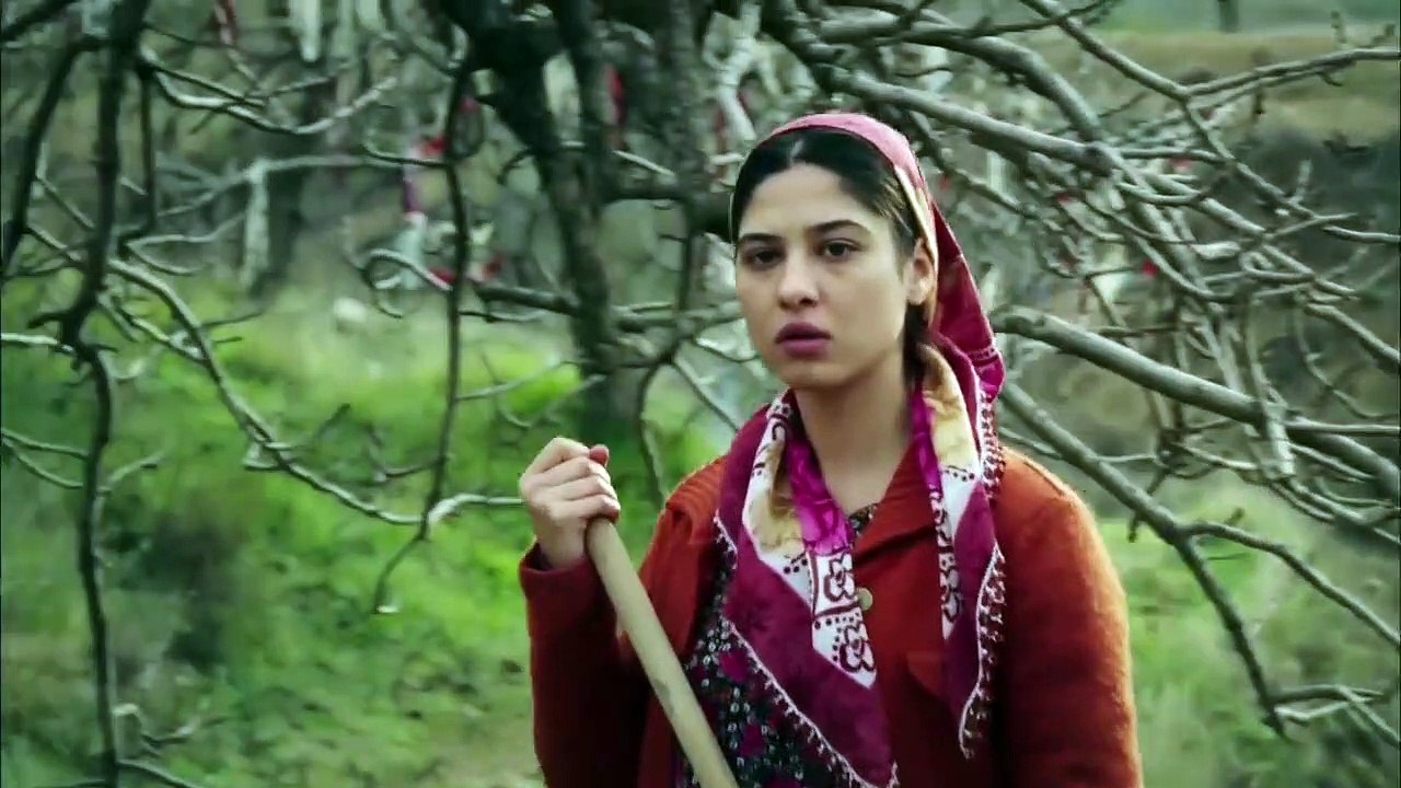 مسلسل ورد وشوك الحلقة 181