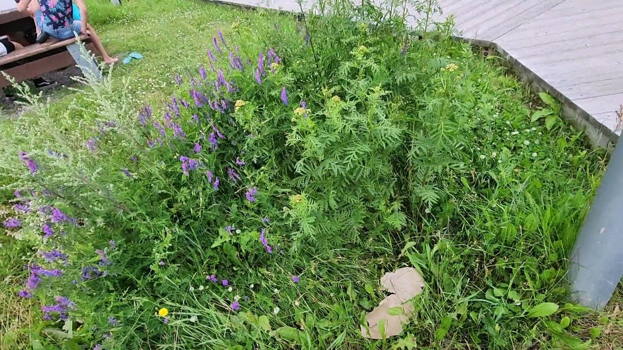 17 juillet TOPO PG dechets plages regionales