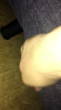 Crazy Cat Crawls Under the Bed