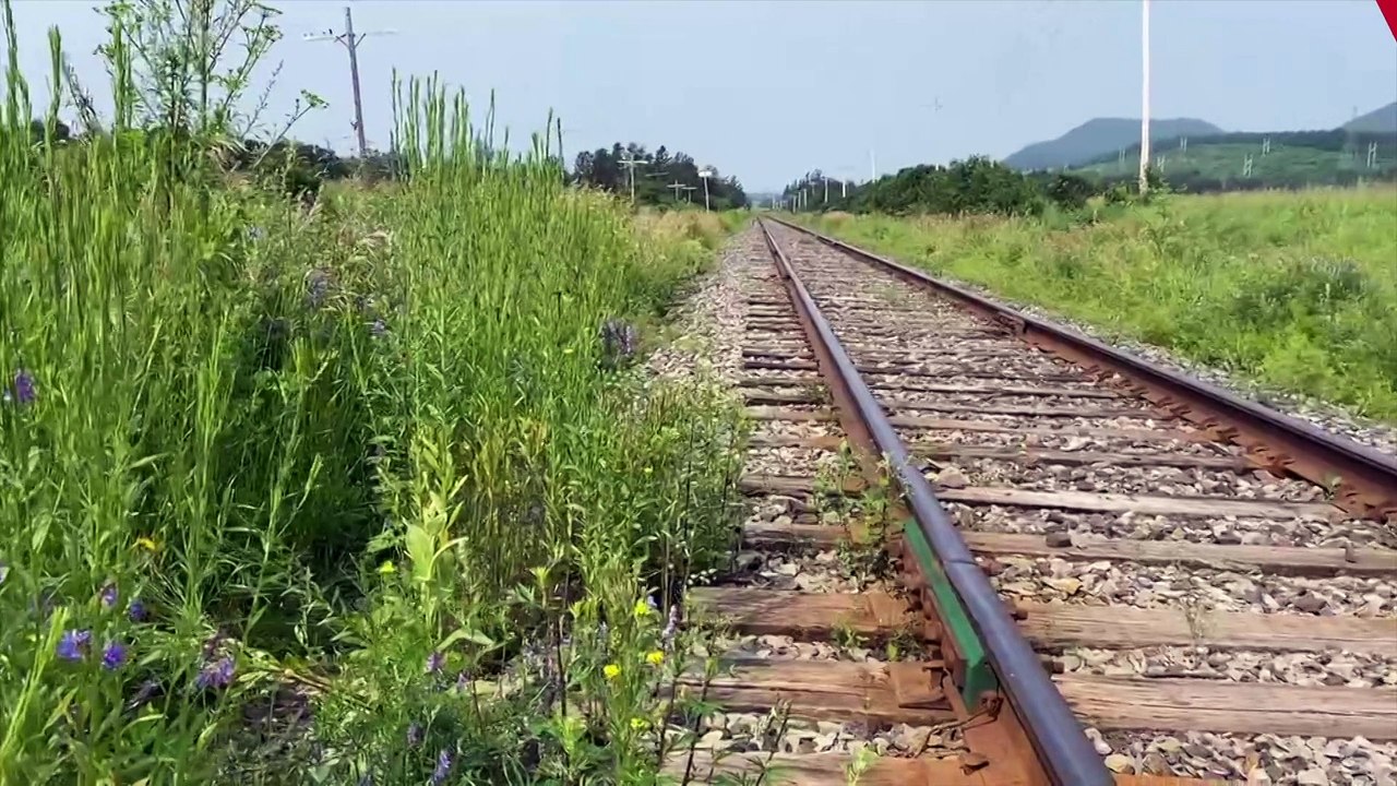 18 juillet IN TOPO RC herbicides rail chemin fer