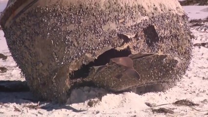 호주 해변에서 미확인 대형물체 발견...로켓 부품 추정 / YTN