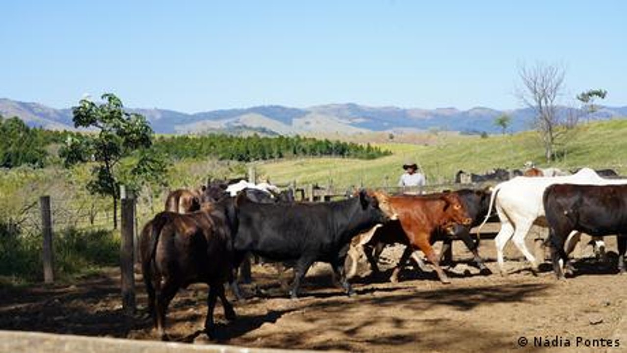 Ringen um größte Freihandelszone der Welt