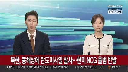 북한, 동해상에 탄도미사일 발사…한미 NCG 출범 반발