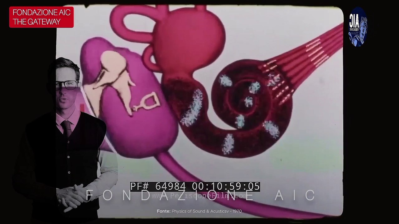 DOCUMENTARIO AIC: THE GATEWAY (Video Integrale)
