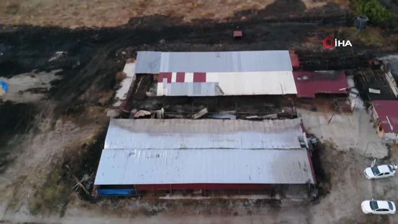 Çanakkale'deki orman yangınlarında çiftliği yandı, 13 büyükbaş ve 10 küçükbaş hayvanı telef oldu