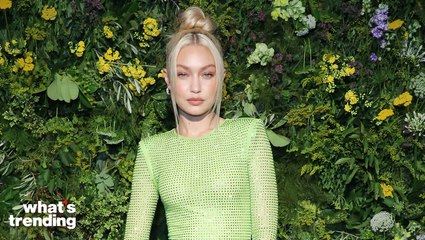 Gigi Hadid Detained in Cayman Islands
