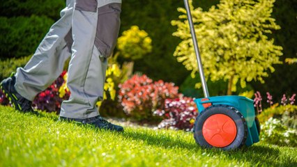 What Is Grass Fertilizer Burn? Plus 5 Tips to Prevent It