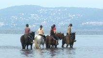 Balades équestres dans la baie de Gaspé