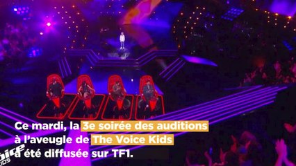 The Voice Kids : Slimane coupe la parole à Nolwenn Leroy et agace les internautes