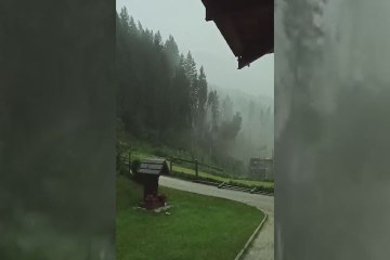 Tromba d'aria in Cadore, gli alberi cadono come birilli - Video