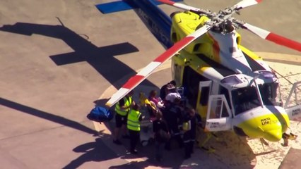 Rangers consider fate of dingoes involved in K’gari attack