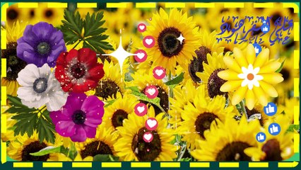 صوت تقشعر له الابدان ويبكي العيون