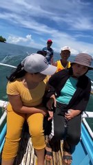 Download Video: Peixe-voador rouba celular de turista nas Filipinas