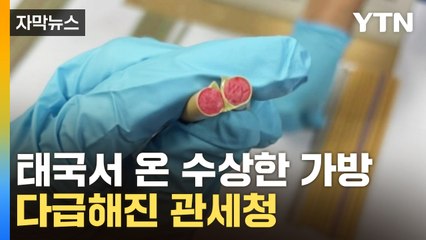 [자막뉴스] 2백만 명 위험할 뻔...공항에 울려퍼진 '사이렌' / YTN