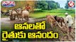 Farmers Started Cultivation Works After Rain Hits In Telangana _ V6 Teenmaar