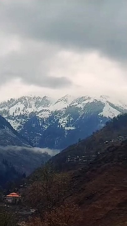 Natural Snow falling