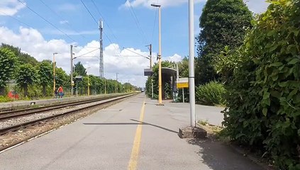 Ter z24500 jolie klaxon en grande vitesse