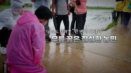 [영상] 尹 "걱정마시라"...무릎 꿇은 절실한 농민 / YTN