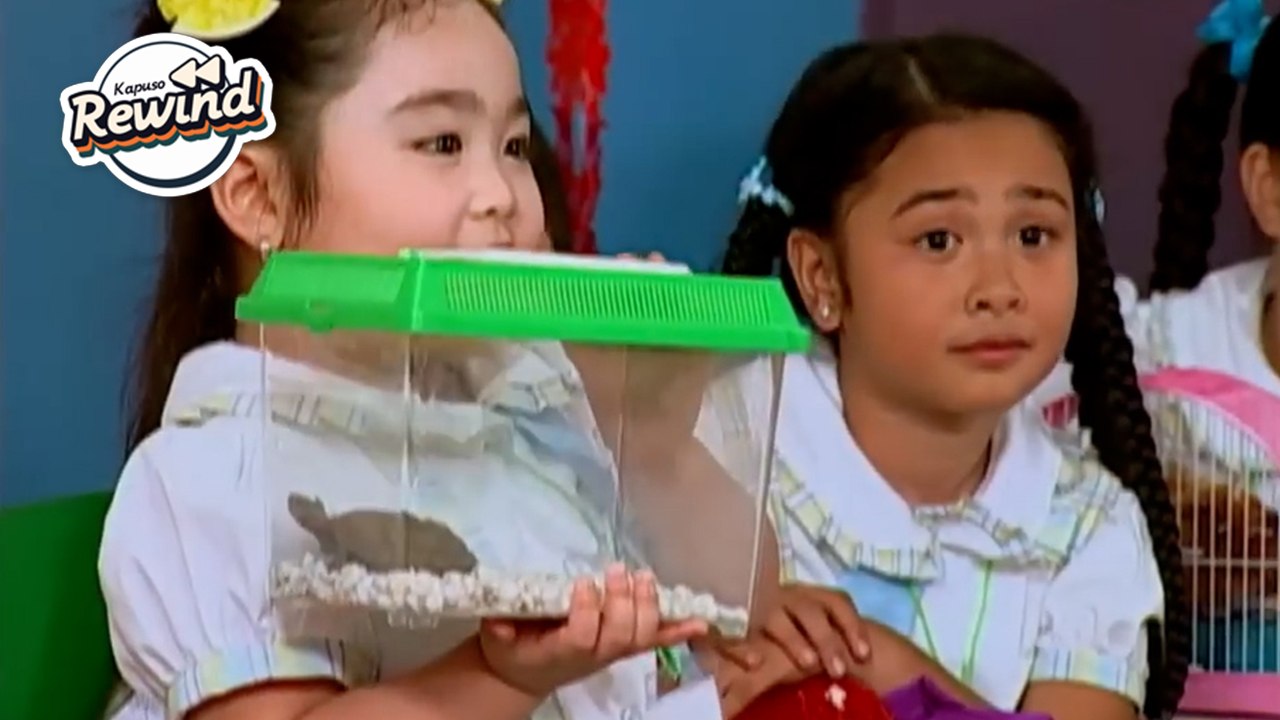 Kapuso Rewind: Pet is not just a pet, it's FAMILY! (Daldalita)