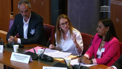 Organisation des groupuscules violents en manifestation : Table ronde des chaînes d’information en continu - Mardi 18 juillet 2023