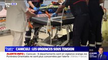 À cause de la canicule, les services d'urgences des Alpes-Maritimes sont sous tension