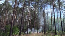 Kampf gegen Waldbrände: Frühwarnsystem aus Brandenburg weltweit im Einsatz