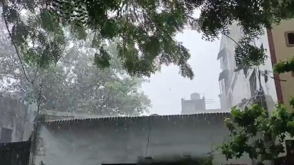 पानसेमल: सावन में रिमझिम बारिश का दौर जारी, मौसम विभाग ने जारी किया अलर्ट