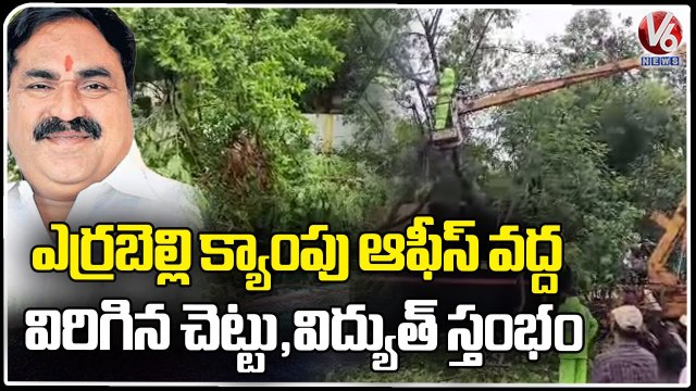 Tree and Electricity Pole Fall Down At Errabelli Dayakar Rao Camp Office | Hanamkonda | V6 News