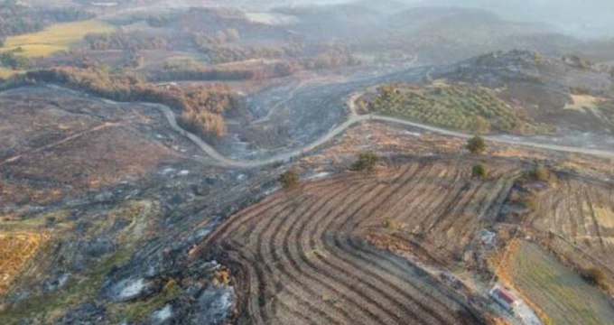 Çanakkale'de yanan alanlar havadan görüntülendi