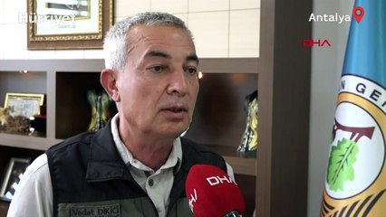 Orman Bölge Müdürü'nden mangalseverlere çağrı: 20 gün yakmasak ne olur