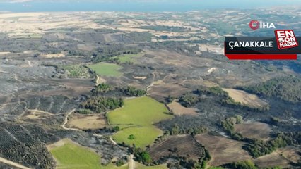 Çanakkale'de yanan alanlar havadan görüntülendi