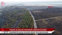 Çanakkale'deki orman yangını havadan görüntülendintulendi