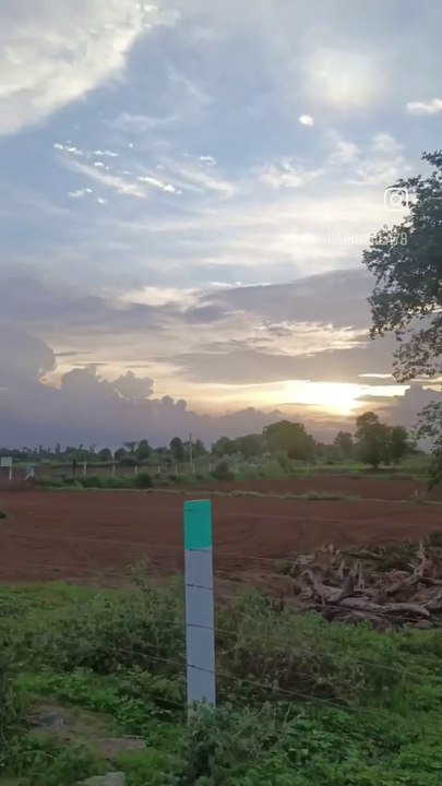 Fill Nature