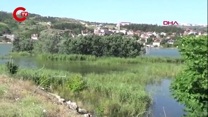 'KARABATAK APARTMANI'; BURSA'DA BARAJ SULARI İÇİNDE KALAN AĞAÇTA KULUÇKAYA YATTILAR