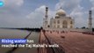 Floodwater reaches Taj Mahal as heavy rain hits Northern India