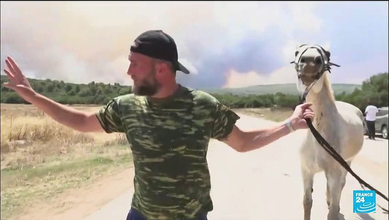 Terribles incendies en Grèce : les environs d'Athènes cernés par les flammes