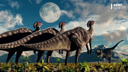 Un incroyable combat entre un dinosaure et un blaireau gravé par une éruption volcanique