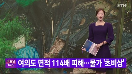 [YTN 실시간뉴스] 여의도 면적 114배 피해...물가 '초비상' / YTN
