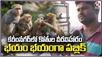 Public Facing Issues With Monkeys , Municipalities Fails In Catching _ V6 News (1)