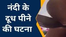 श्रीडूंगरगढ़ : नंदी के दूध पिने की जानकारी मिलने पर बड़ी संख्या में मंदिर पहुंचे लोग