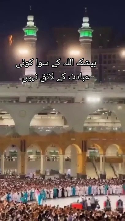 V v beautiful video