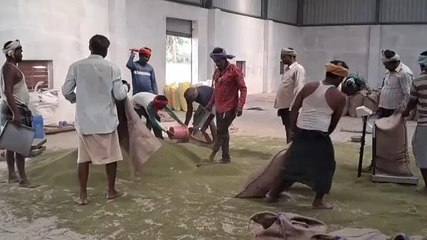 नर्मदापुरम: वेयर हाउस संचालकों की मनमानी बनी किसानों की मुसीबत,परेशान अन्नदाता