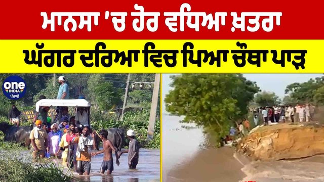 Mansa ’ਚ ਹੋਰ ਵਧਿਆ ਖ਼ਤਰਾ, ਘੱਗਰ ਦਰਿਆ ਵਿਚ ਪਿਆ ਚੌਥਾ ਪਾੜ | Punjab Floods |OneIndia Punjabi