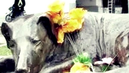 Monumento a "El Gaucho" y su Leyenda - Durazno, Uruguay