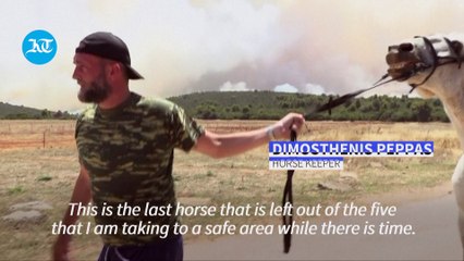 Town in Greece evacuated as wildfires continue to rage